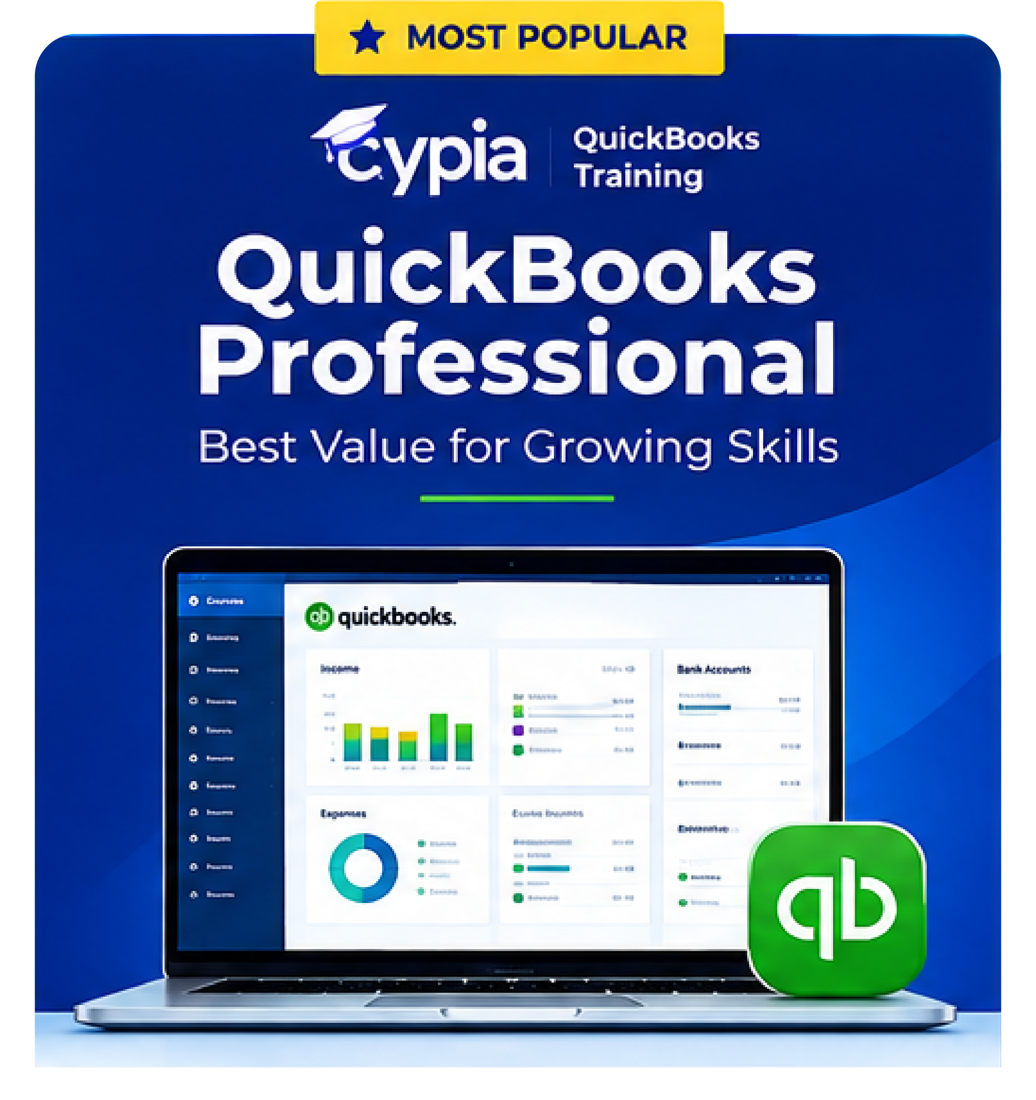 Product image-02 QuickBooks Professional – Comprehensive Video Training Course - Image 1